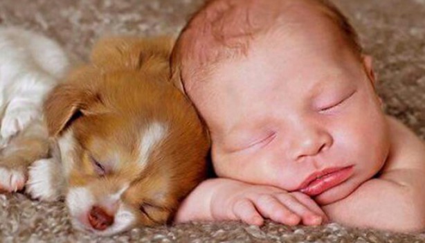 RMF Extra: Dzieci w obiektywie 