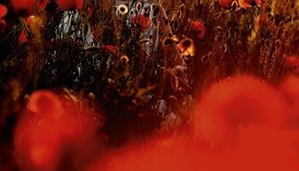 RMF Extra: Najpiękniejsze polskie przeboje 