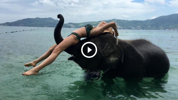 RMF Extra: Ola Ciupa dostała ogromny bukiet róż! Szukamy nadawcy! 