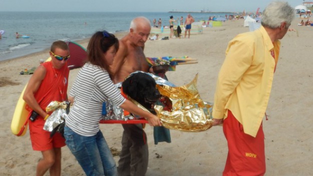 RMF Extra: Pies miał zawał na plaży. Reakcja ratowników WOPR zasługuje na medal