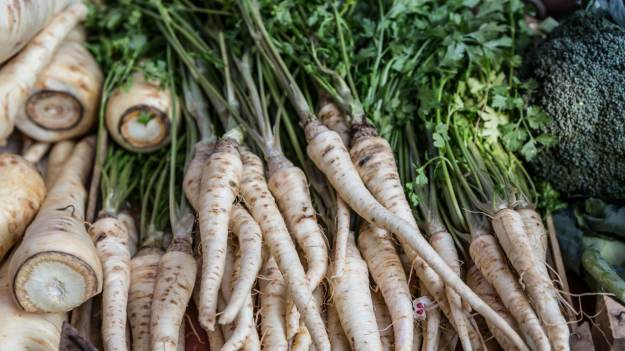 RMF Extra: Jak odróżnić pasternak od pietruszki? Sprzedawcy często fałszują to popularne warzywo