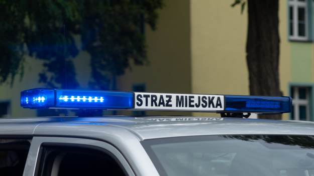 RMF Extra: "Lagun" powrócił. Kobieta wezwała służby, bo myślała, że widzi węża