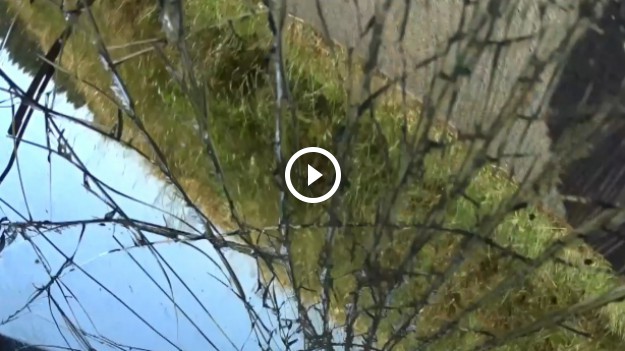 RMF Extra: Chwile grozy podczas pierwszego dnia Rajdu Rzeszowskiego! [FILM]