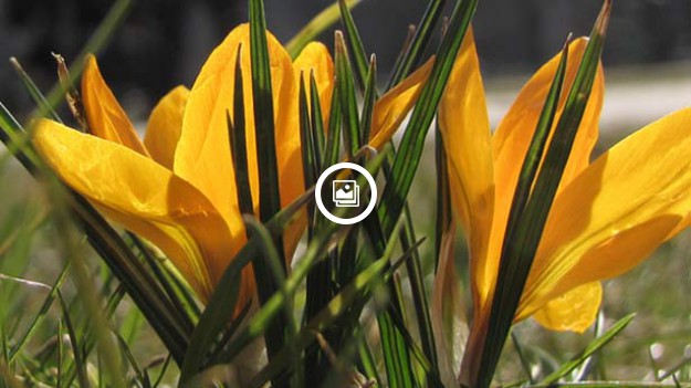 RMF Extra: Pierwszy Dzień Wiosny: Mamy astronomiczną i kalendarzową wiosnę!