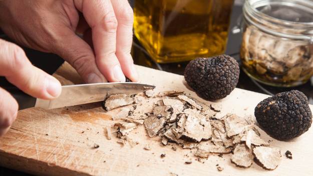 RMF Extra: Trufle: legendarne grzyby występują również w Polsce!