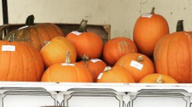 RMF Extra: Dynia królową jesieni! Podpowiadamy, jakie dania możemy z niej przygotować