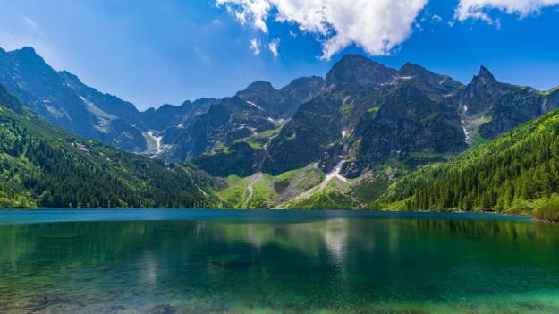 RMF Extra: Loch Ness ma Nessie, Morskie Oko ma... bobra. W końcu jest nagranie! To przyrodniczy ewenement