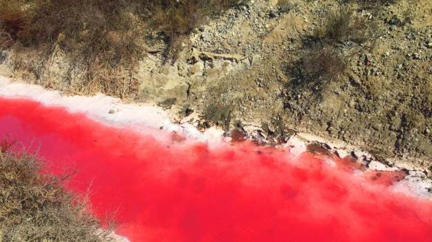 RMF Extra: Jezioro Natron w Tanzanii. Zwierzęta zamieniają się w mumie!