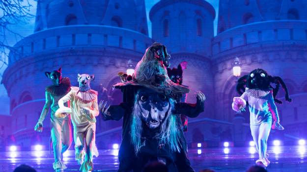 RMF Extra: "Mask Singer". Wiedźma zdemaskowana! Widzowie od początku wiedzieli, kto nią był