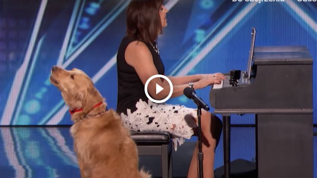 RMF Extra: Śpiewający pies zrobił furorę w amerykańskim "Mam Talent"!