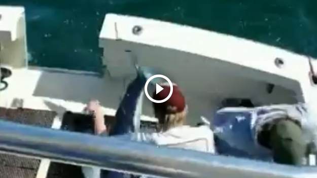 RMF Extra: Płynęli łodzią, nagrywali rekina. Nagle wyskoczył na pokład! [WIDEO]