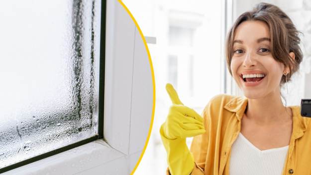 RMF Extra: To najlepszy sposób na zaparowane okna. Wystarczy umyć tym szyby i woda się nie skrapla