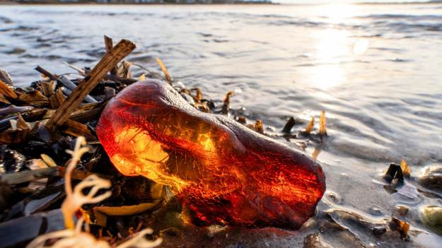 RMF Extra: „Złoto Bałtyku” na wyciągnięcie ręki! Rekordowe zbiory bursztynu na polskich plażach