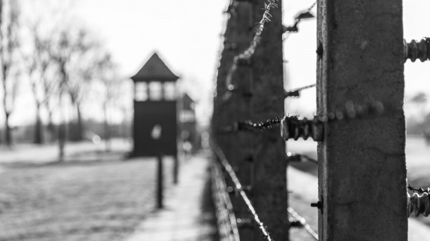 RMF Extra: Bohaterka z obozu zagłady. Akuszerka z Łodzi przyjęła na miejscu ponad 3 tysiące porodów!