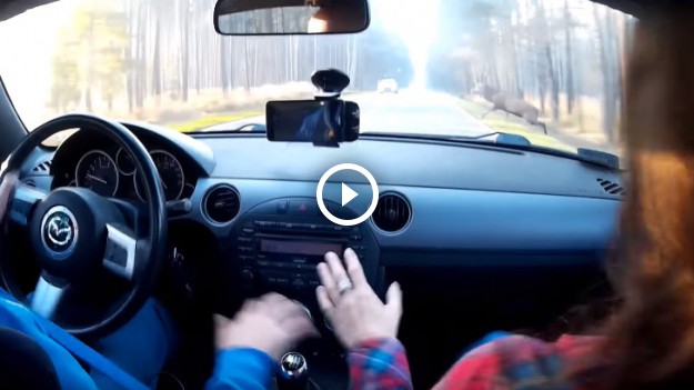 RMF Extra: Tak wygląda zderzenie samochodu z jeleniem. Zobacz nagranie z auta!