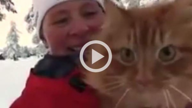 RMF Extra: Koci zaprzęg? Czemu nie! 