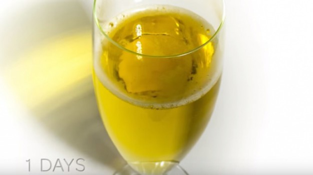 RMF Extra: Zobacz, co dzieje się z piwem w 60 dni od otwarcia