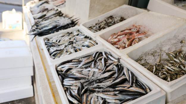 RMF Extra: Nie trzeba ich filetować! Pyszna alternatywa dla karpia