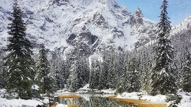 RMF Extra: Od dzisiaj nie można spacerować po Tatrzańskim Parku Narodowym od zmierzchu do świtu