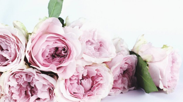 RMF Extra: Dzień Matki – to już dziś!