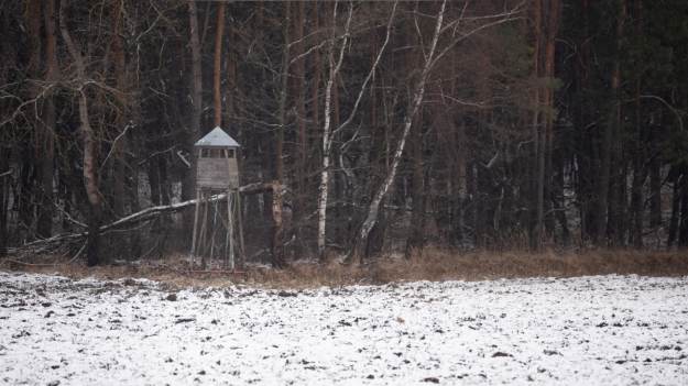 RMF Extra: Trzy niedźwiedzie... na ambonie myśliwskiej! "My tylko na chwilę" [ZDJĘCIE]