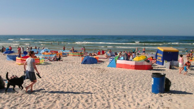 RMF Extra: Zakwit sinic nad polskim morzem. Zakaz kąpieli na 17 plażach