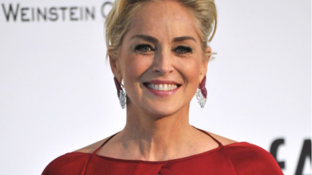 RMF Extra: Sharon Stone kusi na Instagramie. Aktorka publikuje kadry w bikini