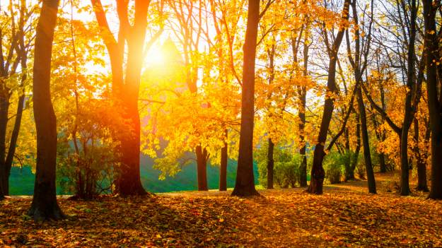 RMF Extra: Prognoza pogody na najbliższe dni. Termometry wskażą nawet 21 stopni Celsjusza!