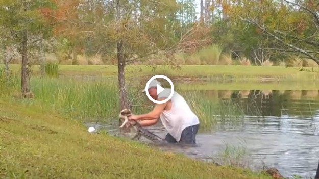 RMF Extra: Uratował psa przed pożarciem aligatora! To wszystko z papierosem w ustach