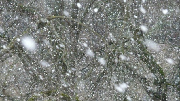 RMF Extra: Nadciąga orkan Fryderyka - IMWG wydało ostrzeżenie dla 14 województw!