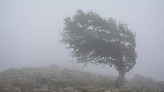 RMF Extra: Wydano ostrzeżenia najwyższego stopnia! Niebezpiecznie w całej Polsce