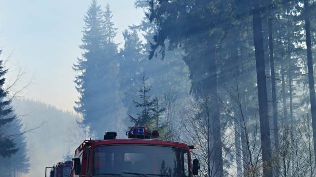 RMF Extra: Pożar lasu w Tatrach. Kto zaprószył ogień w Parku Narodowym? [ZDJĘCIA]