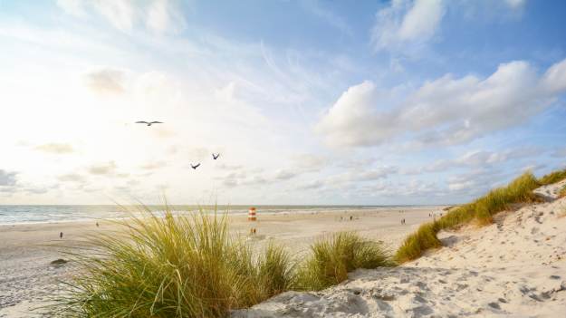 RMF Extra: Widzisz coś takiego na plaży? Nie zbliżaj się do tego przedmiotu. "Nie jest to żaden pozostawiony śmieć!" [FOTO]