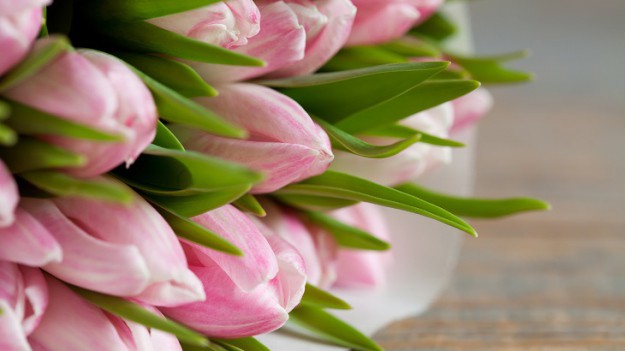 RMF Extra: Dzień Kobiet: Jak gwiazdy spędzają ten wyjątkowy dzień?