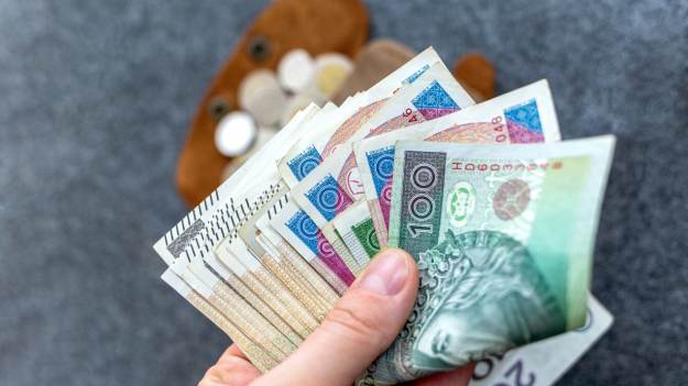 RMF Extra: Bogactwo w Polsce. Od tej kwoty możesz nazywać siebie zamożnym  