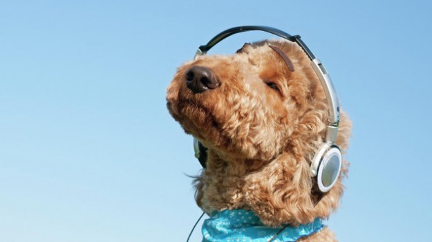 RMF Extra: Naukowcy ustalili tytuł najbardziej radosnej piosenki świata