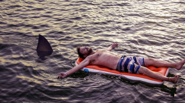 RMF Extra: Szczęście w pechowych sytuacjach! Przeżył atak rekina, niedźwiedzia i grzechotnika