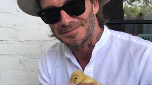 RMF Extra: Im starszy, tym bardziej przystojny... David Beckham świętuje 42. urodziny!