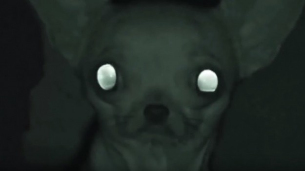 RMF Extra: Halloween: Najbardziej przerażające muzyczne klipy