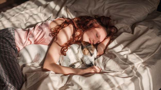 RMF Extra: Pies w twoim łóżku to nie tylko kwestia wygody. Psychologowie ujawnili coś niezwykłego