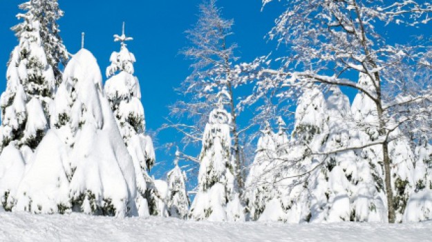 RMF Extra: Kałamaga, Olbratowski i Skowron o pogodzie 21 grudnia! Będzie biało?