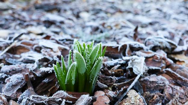 RMF Extra: Uwaga na przymrozki! IMGW wydał ostrzeżenia. Popada też śnieg