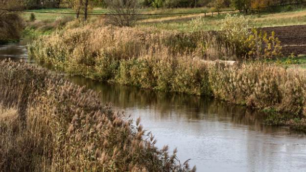 RMF Extra: Rzeka Ner. ŁUW o wynikach badań i prawdopodobnej przyczynie śnięcia ryb