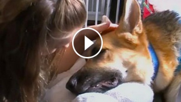 RMF Extra: Ten pies uratował życie małej dziewczynce! 