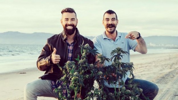 RMF Extra: Kalifornijska winiarnia produkuje wino z... marihuany!