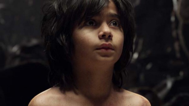 RMF Extra: "Księga dżungli" od dziś w kinach. Zobaczcie piękne zdjęcia z filmu!