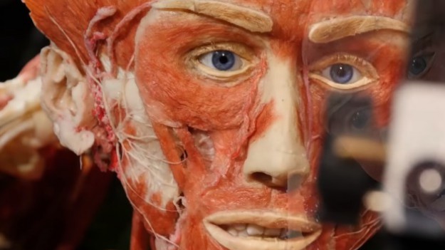 RMF Extra: Ukradł palce u stóp z wystawy. Oskarżono go o profanację zwłok…