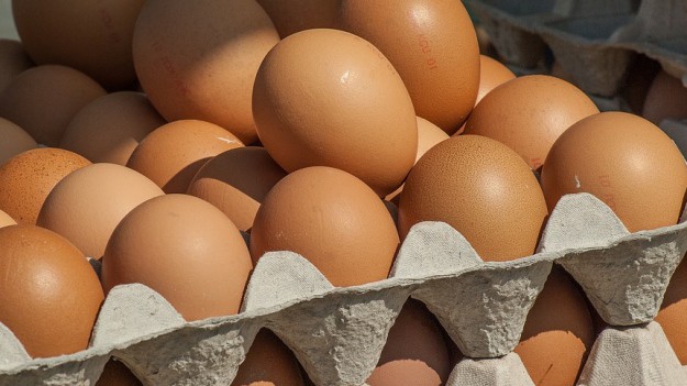 RMF Extra: Salmonella w jajkach: GIS ostrzega!