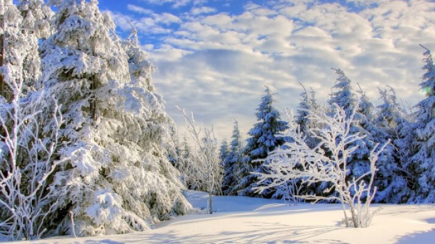 RMF Extra: Podpowiadamy - jak poradzić sobie z mrozem?