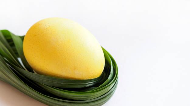 RMF Extra: Babciny sposób na żółte pisanki bez grama chemii. Wystarczy jeden prosty składnik